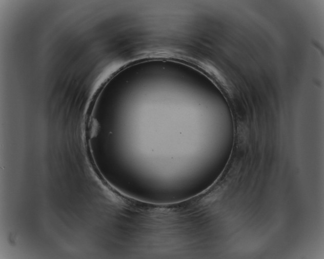 X0000093231424200709261643