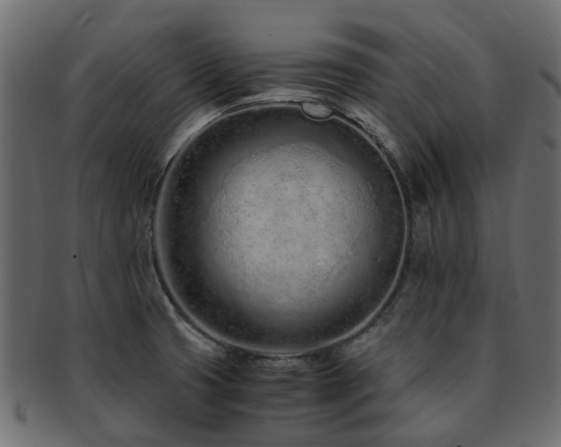 X0000093231425200709261643