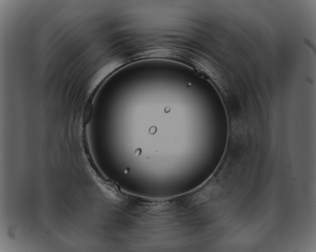 X0000093231426200709261643