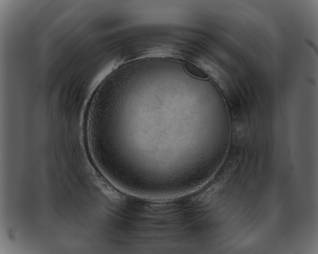 X0000093231427200709261643