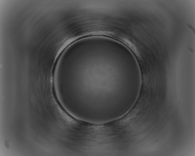 X0000093231428200709261643