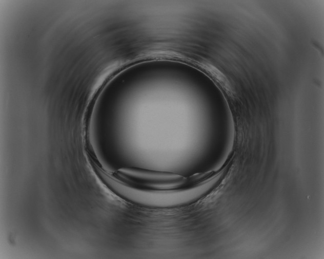 X0000093231430200709261643