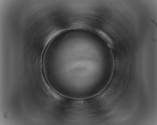 X0000093231431200709261643