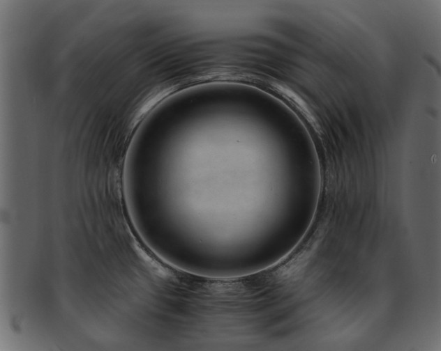 X0000093231433200709261643