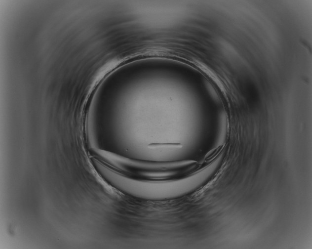 X0000093231437200709261643