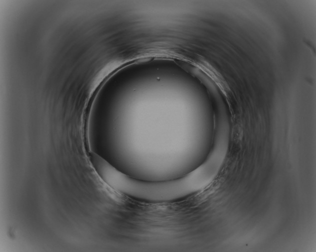 X0000093231438200709261643