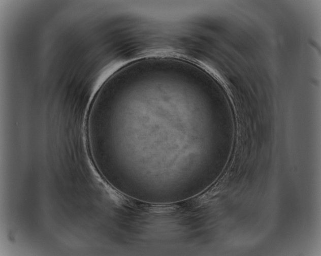 X0000093231440200709261643