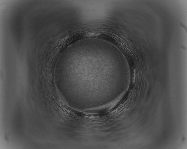 X0000093231441200709261642