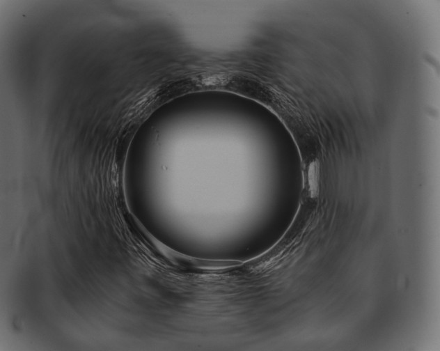 X0000093231443200709261642