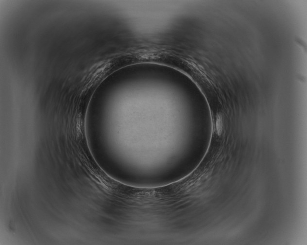 X0000093231444200709261642