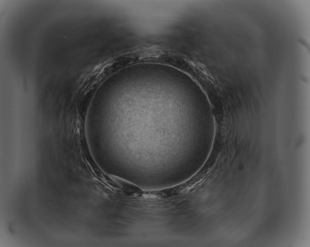 X0000093231445200709261642