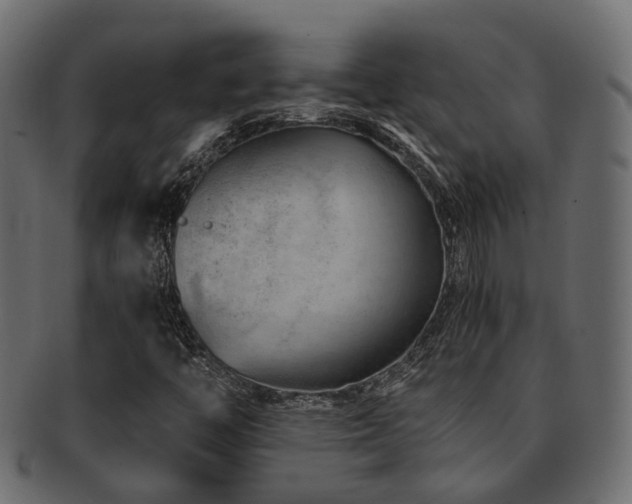 X0000093231446200709261642