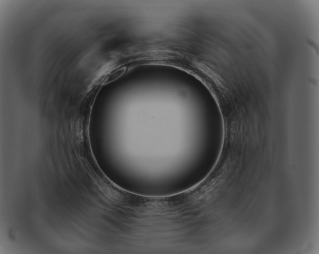 X0000093231451200709261642