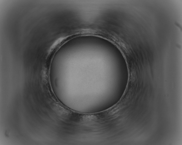 X0000093231454200709261642