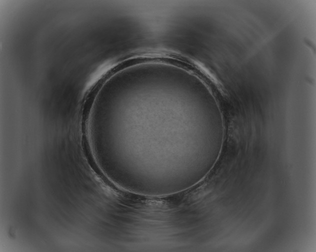 X0000093231456200709261642