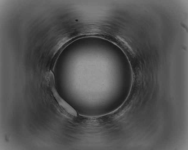 X0000093231457200709261642