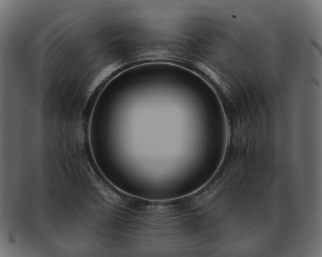 X0000093231458200709261642