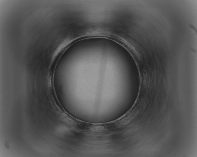 X0000093231462200709261642