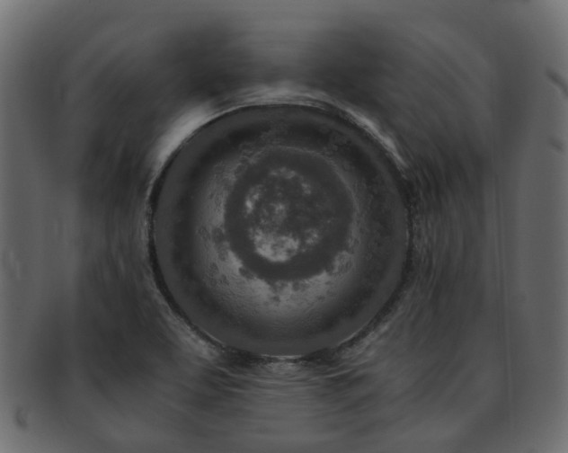 X0000093231463200709261642