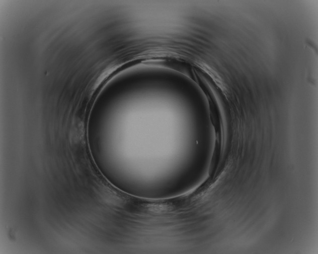 X0000093231465200709261642