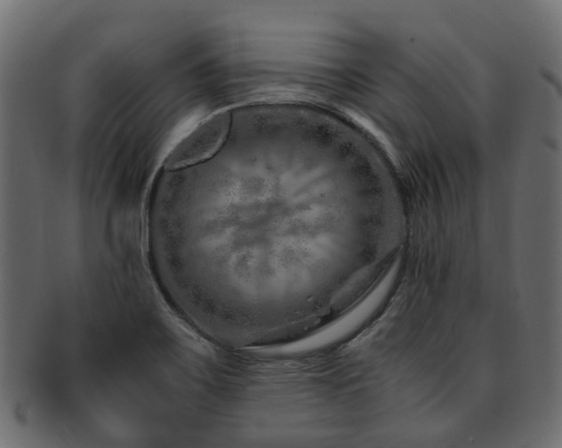 X0000093231467200709261642