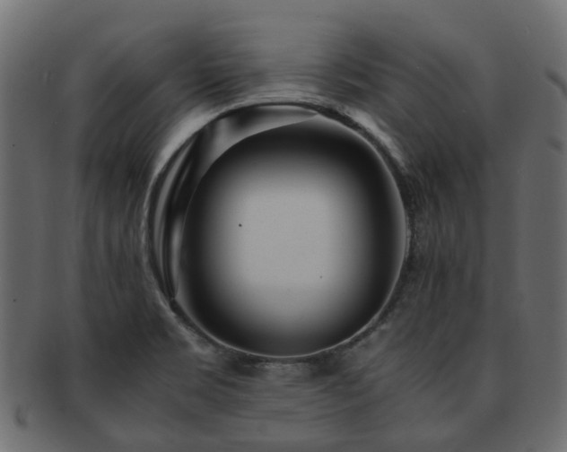 X0000093231469200709261642