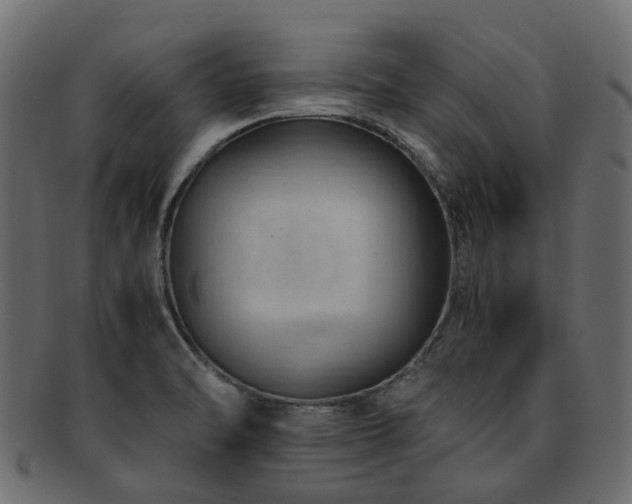 X0000093231470200709261642