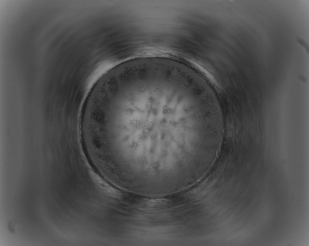 X0000093231471200709261642
