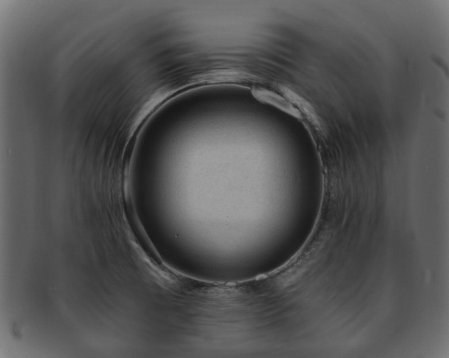 X0000093231473200709261642
