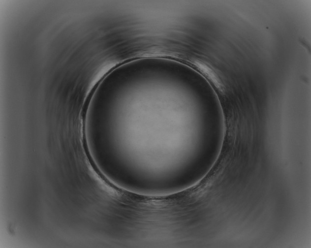 X0000093231476200709261642