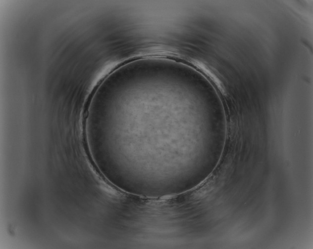 X0000093231477200709261642