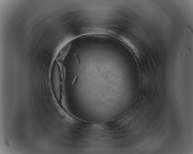 X0000093231480200709261642