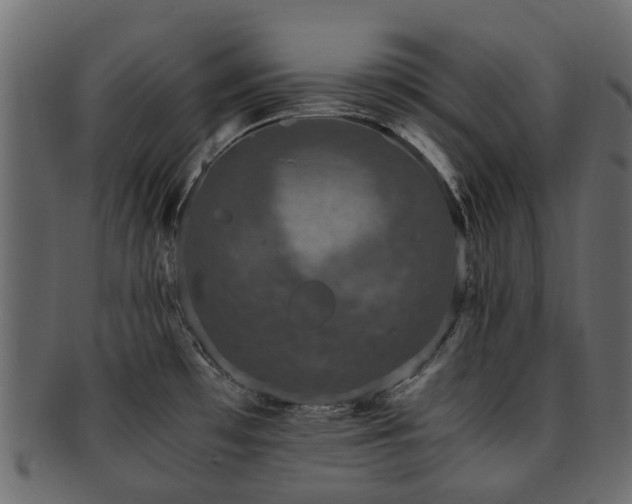 X0000093231481200709261642