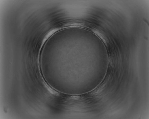 X0000093231482200709261642
