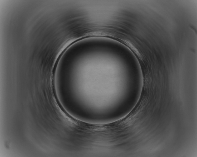 X0000093231484200709261642