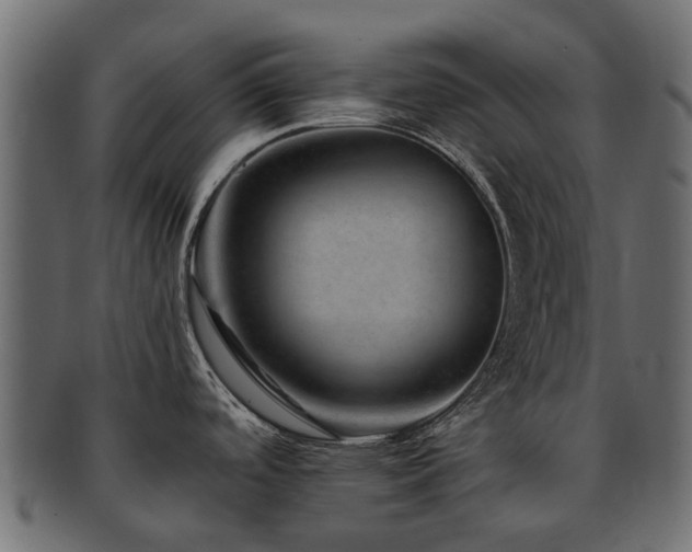 X0000093231488200709261642