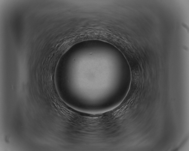 X0000093231489200709261641