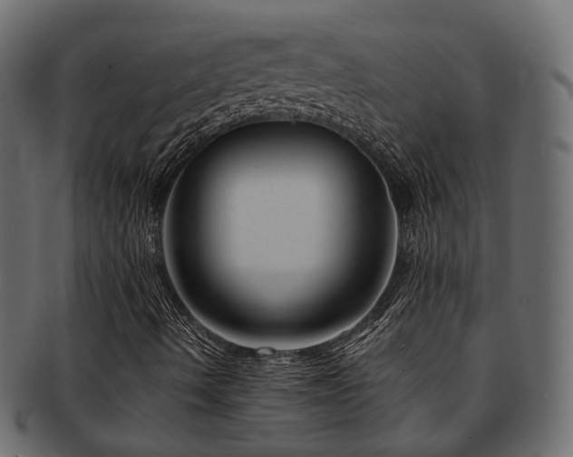 X0000093231490200709261641