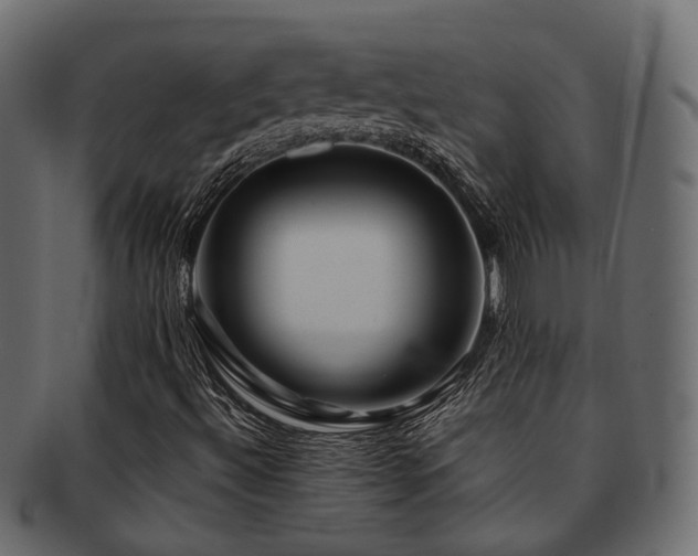 X0000093231492200709261641