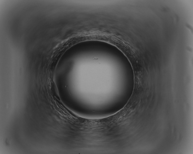 X0000093231493200709261641