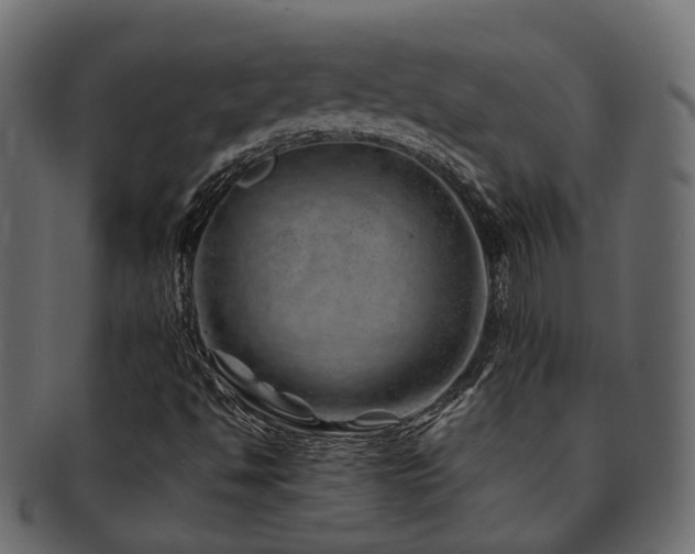 X0000093231494200709261641