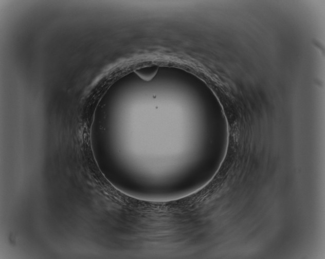 X0000093231495200709261641