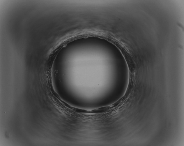 X0000093231496200709261641