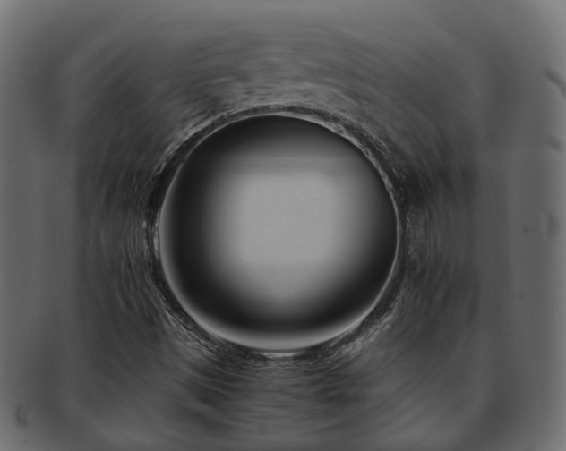X0000093231497200709261641