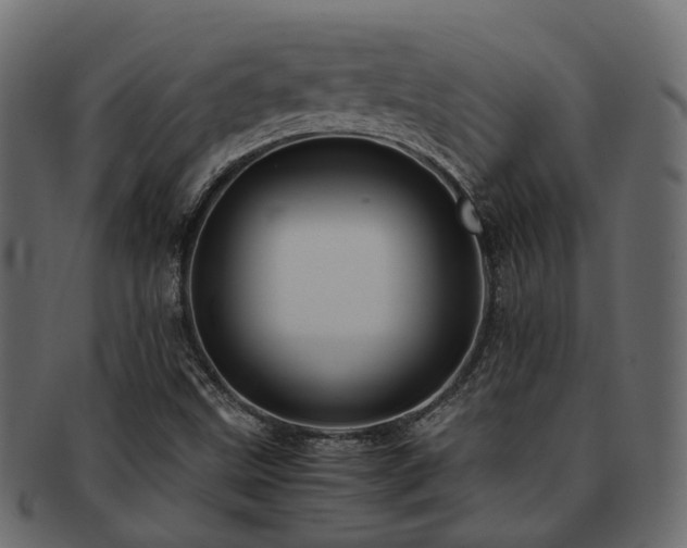 X0000093231499200709261641