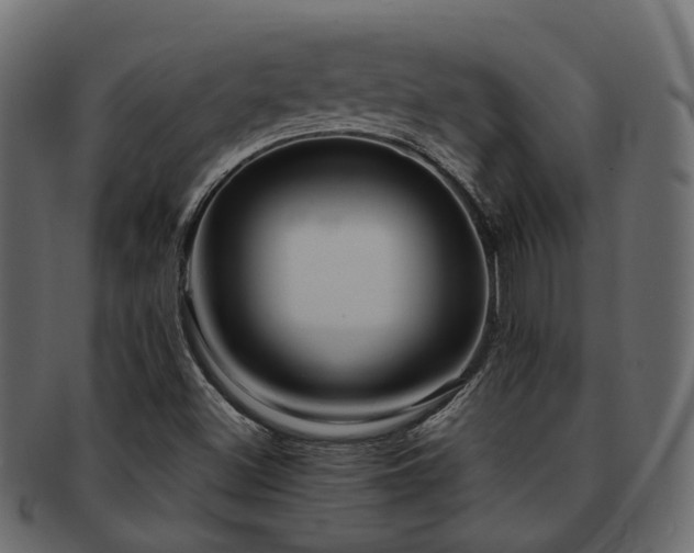 X0000093231500200709261641