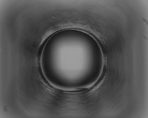 X0000093231501200709261641