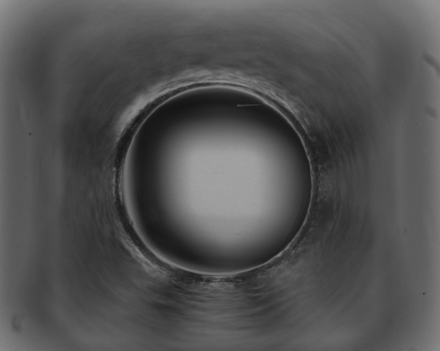 X0000093231503200709261641