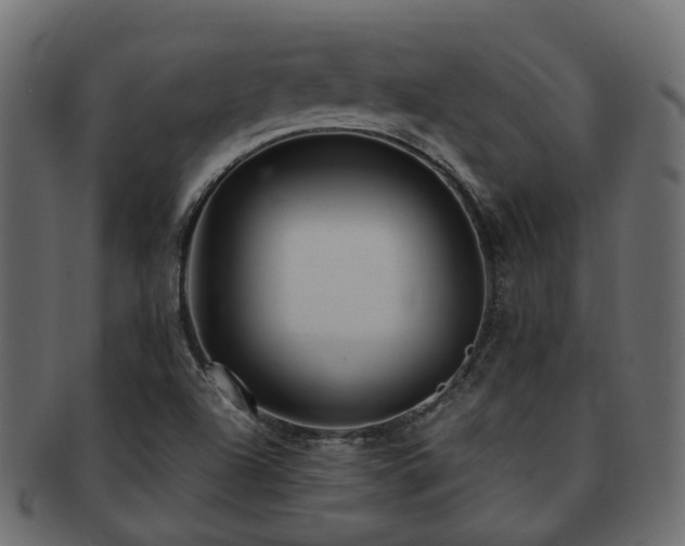 X0000093231504200709261641