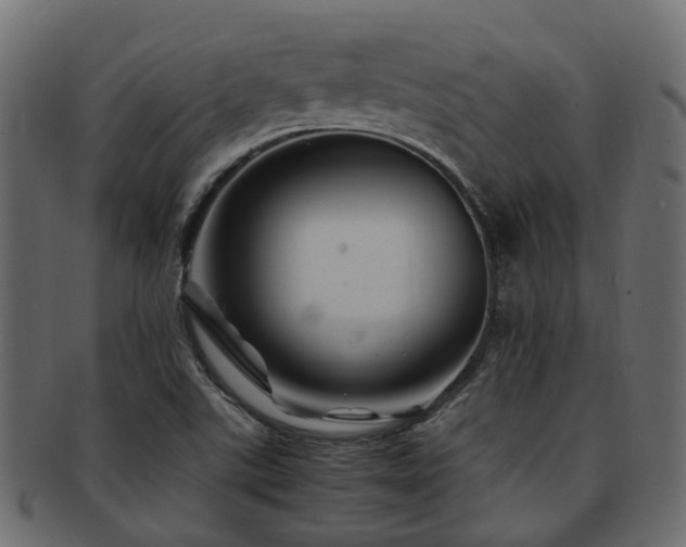 X0000093231507200709261641